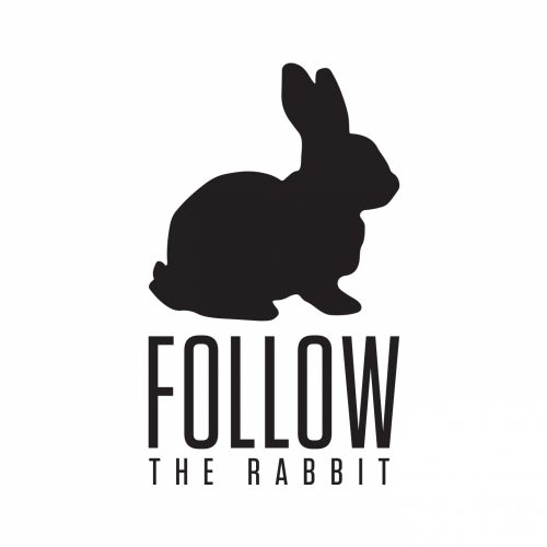 follow the rabbit